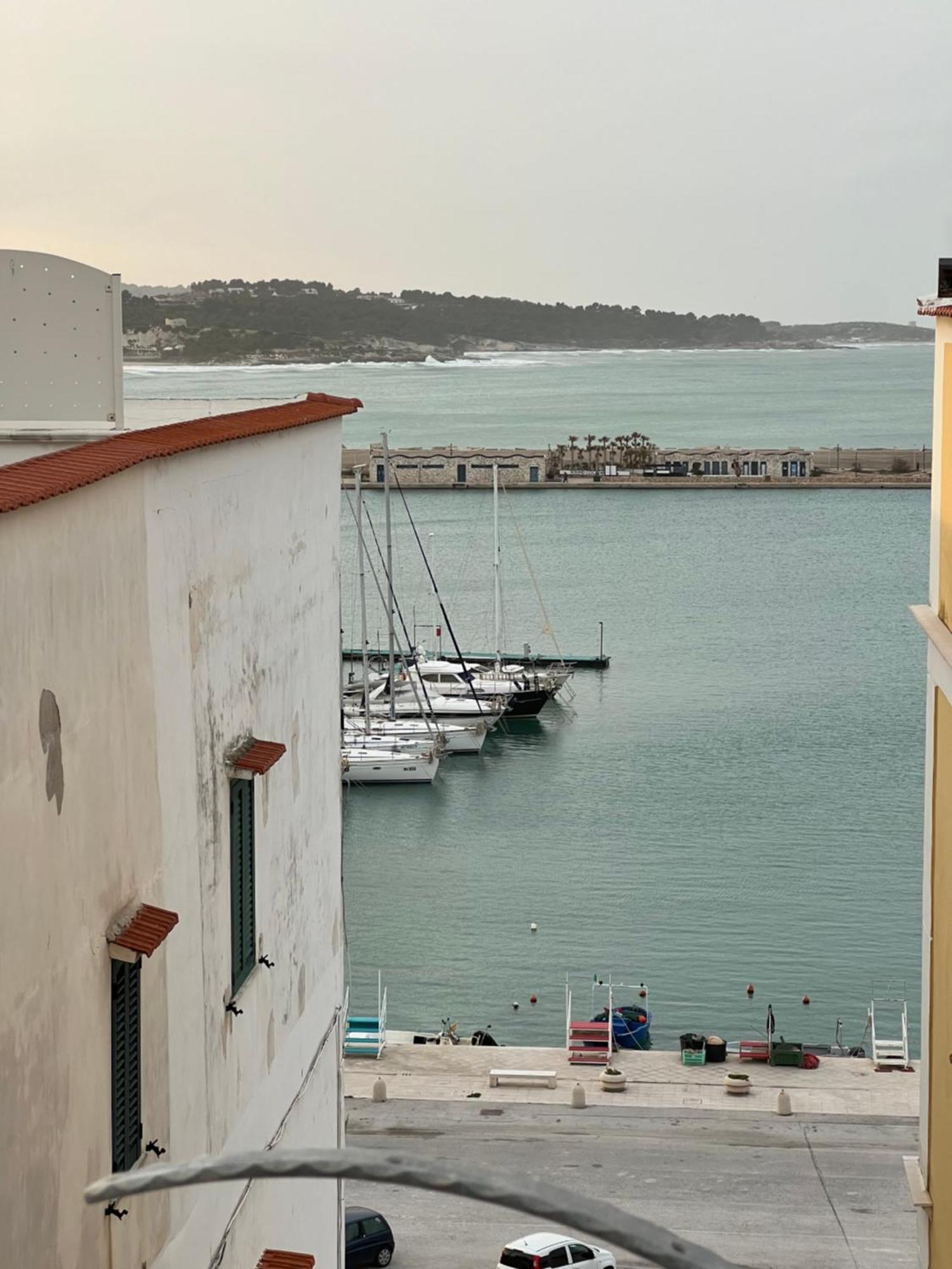 North Wind Luxury Home Vieste Esterno foto